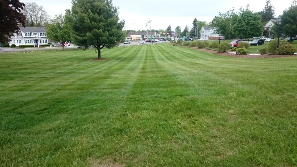 Expert yard cleanup service experts serving Everett, MA - Campos and Son Landscaping