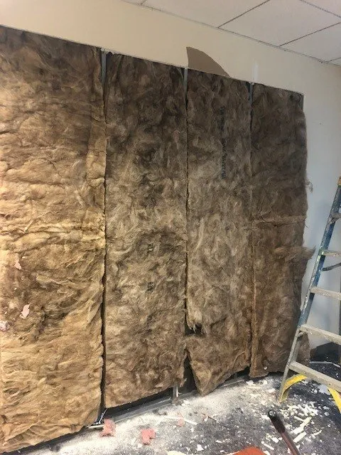 Top-rated yard cleanup service experts serving Omaha, NE - Campos Construction