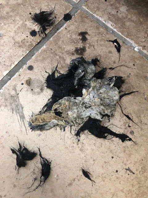 Top-rated landscaping services near you in Omaha, NE by Campos Construction