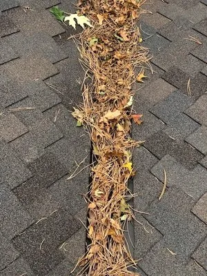 Campos Construction Logo