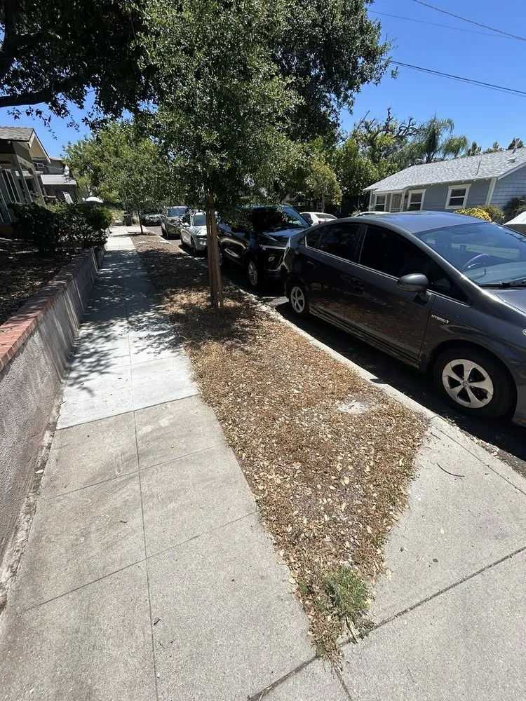 Custom yard maintenance in Alhambra, CA by Campos Garden 777