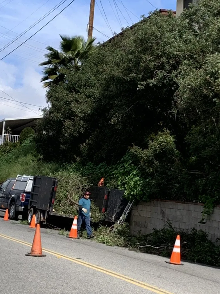 Trusted landscape installation for residential properties in Alhambra, CA by Campos Garden 777