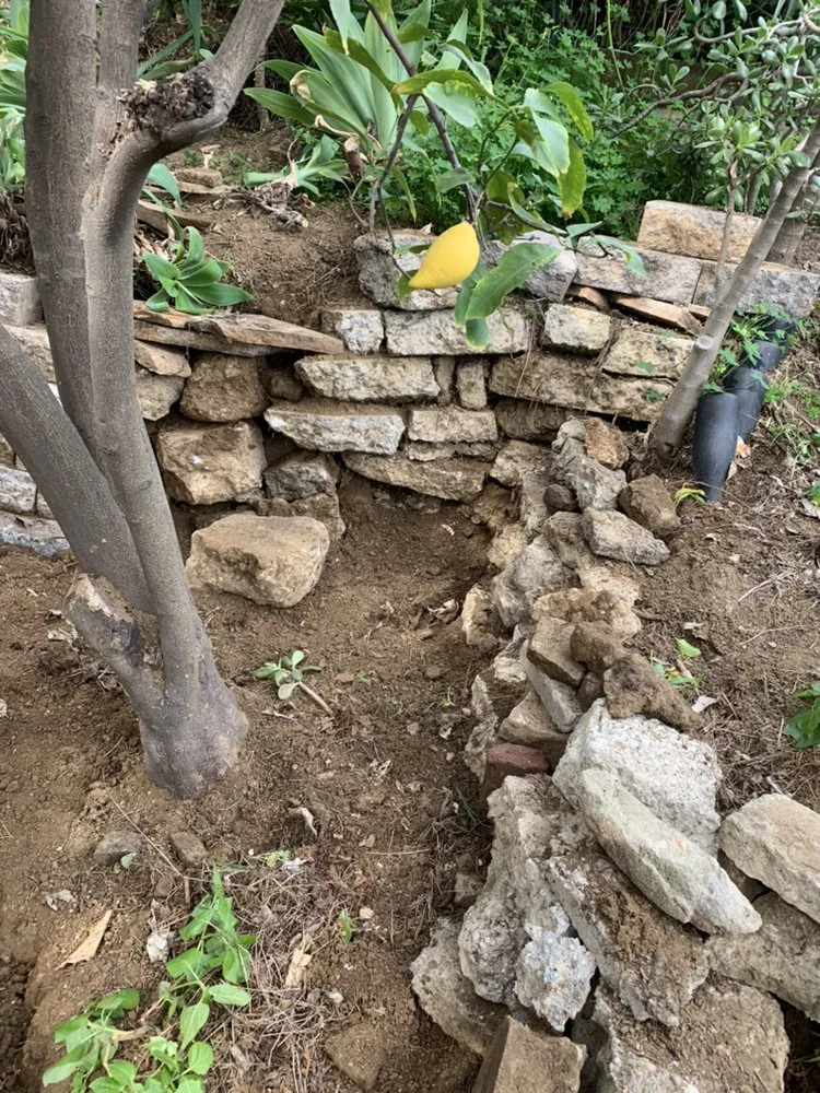 Custom yard maintenance near you across Alhambra, CA - Campos Garden 777