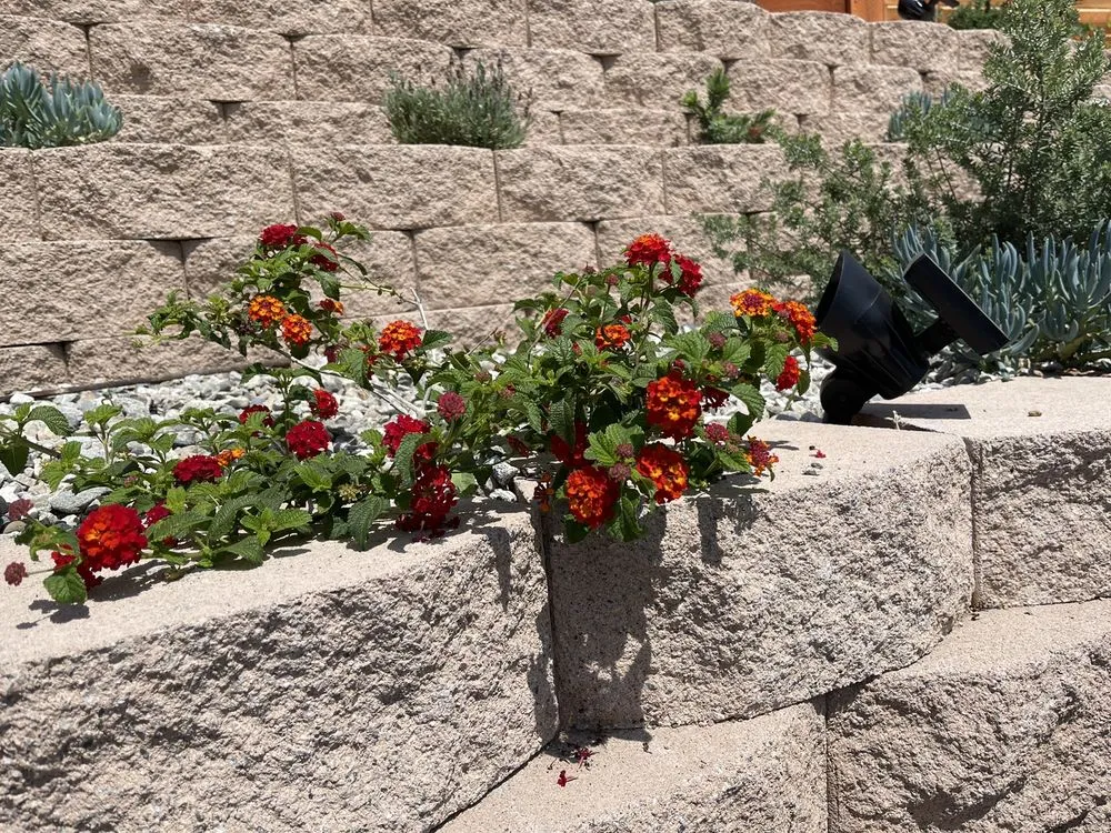 Expert yard maintenance experts serving Alhambra, CA - Campos Garden 777