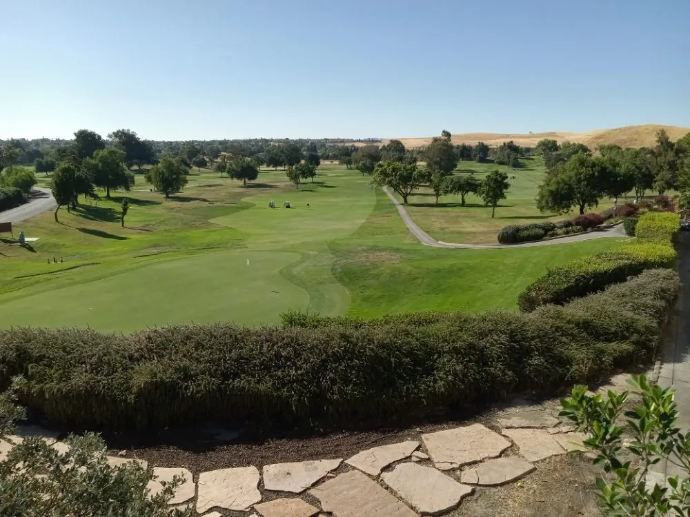 Professional outdoor landscaping in Antioch, CA by Campos Landscape