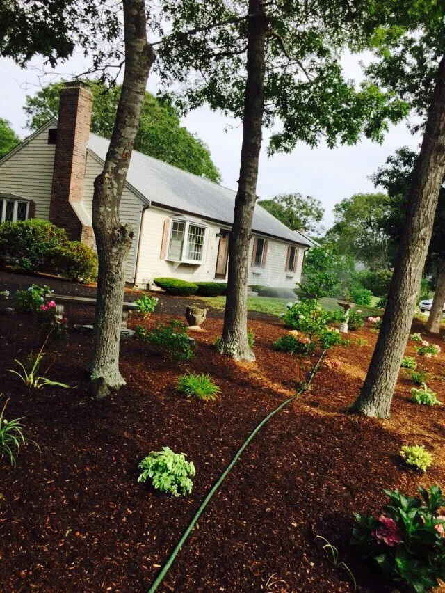 Affordable lawn care service for residential properties across Falmouth, MA - Campos Landscape