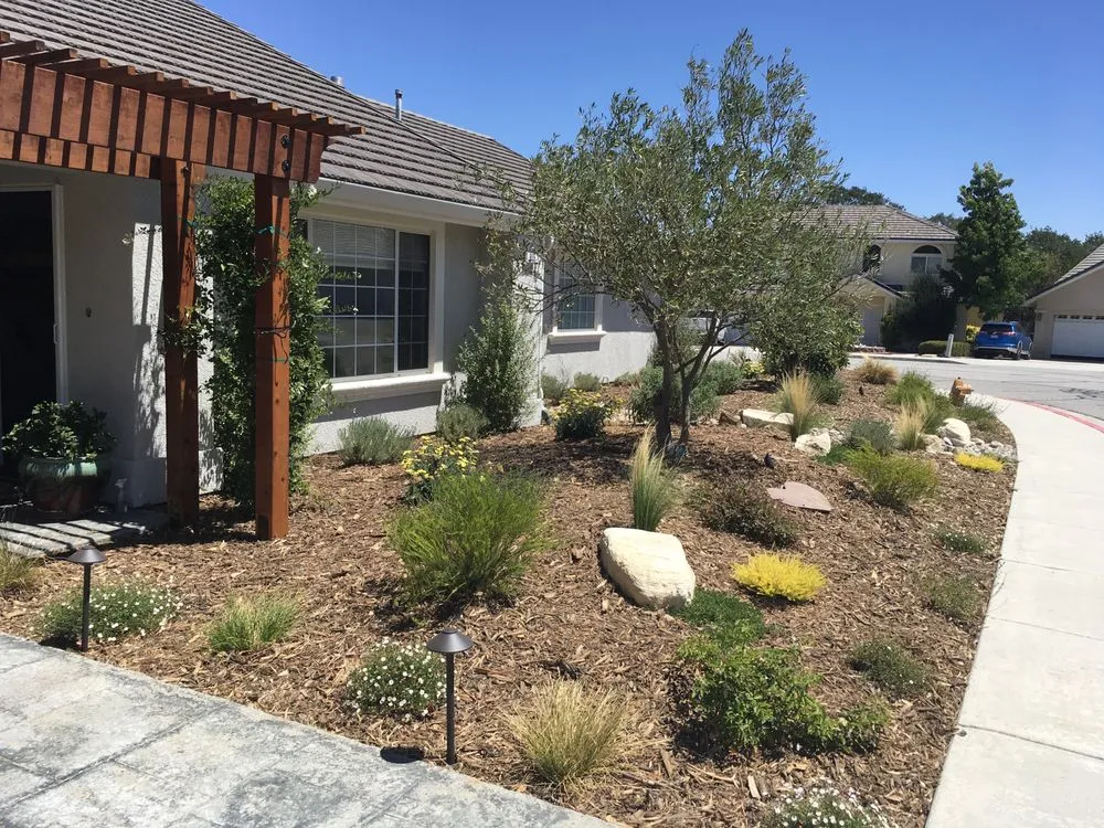 Affordable yard cleanup service in Paso Robles, CA - Campos Landscape