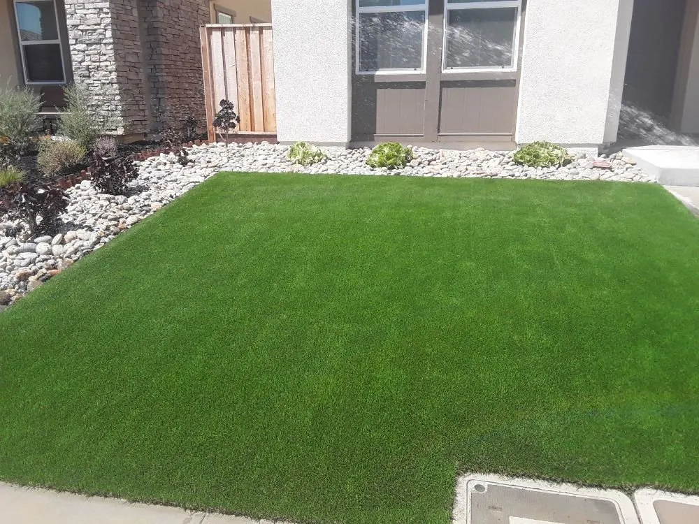 Expert yard maintenance near you across Antioch, CA - Campos Landscaping and Tree Service