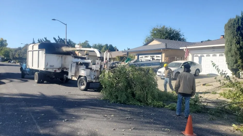 Top-rated landscape installation experts serving Antioch, CA - Campos Landscaping and Tree Service