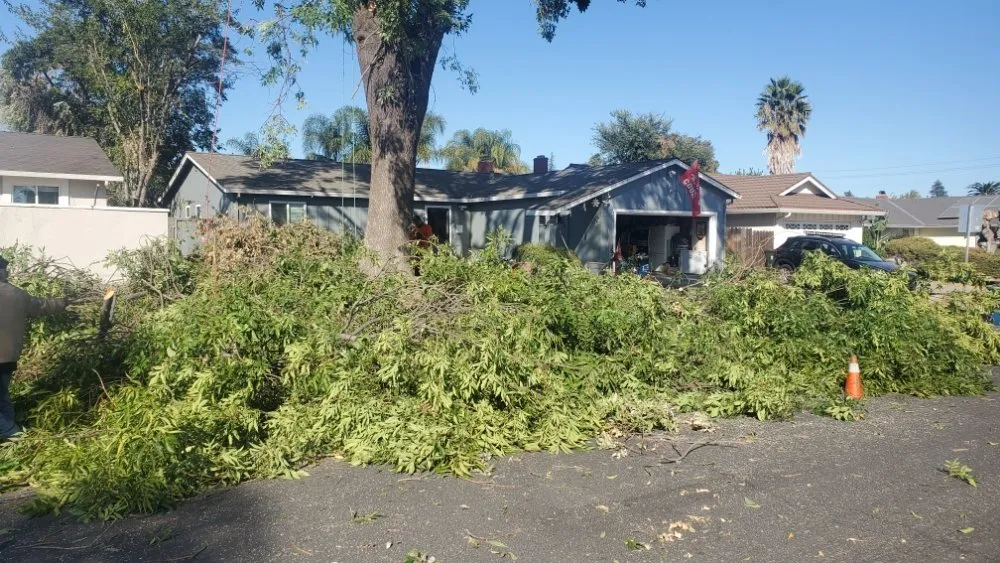 Custom garden landscaping in Antioch, CA - Campos Landscaping and Tree Service