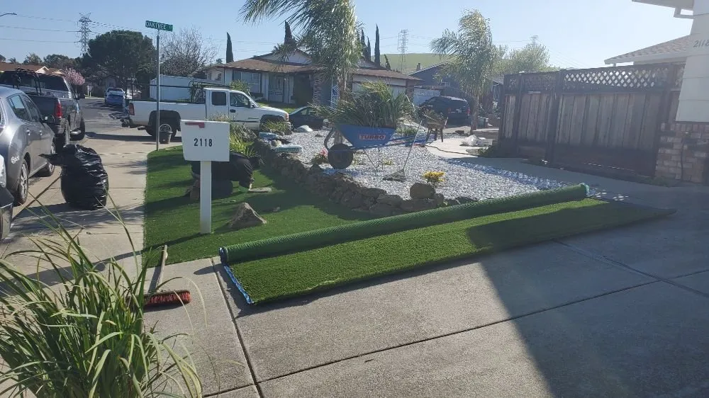 Reliable yard cleanup service in Antioch, CA - Campos Landscaping and Tree Service
