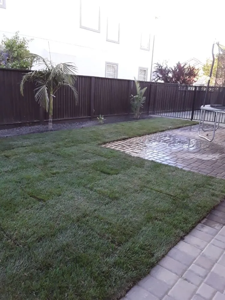 Trusted landscape design for year-round maintenance across Antioch, CA - Campos Landscaping and Tree Service