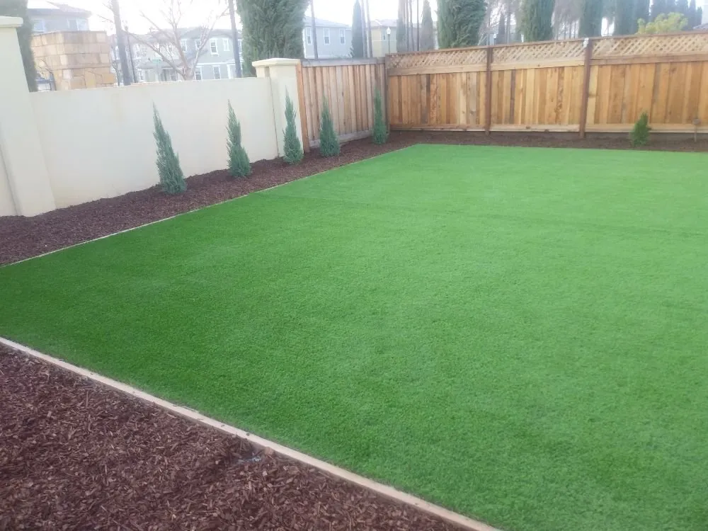 Affordable yard cleanup service for residential properties in Antioch, CA by Campos Landscaping and Tree Service