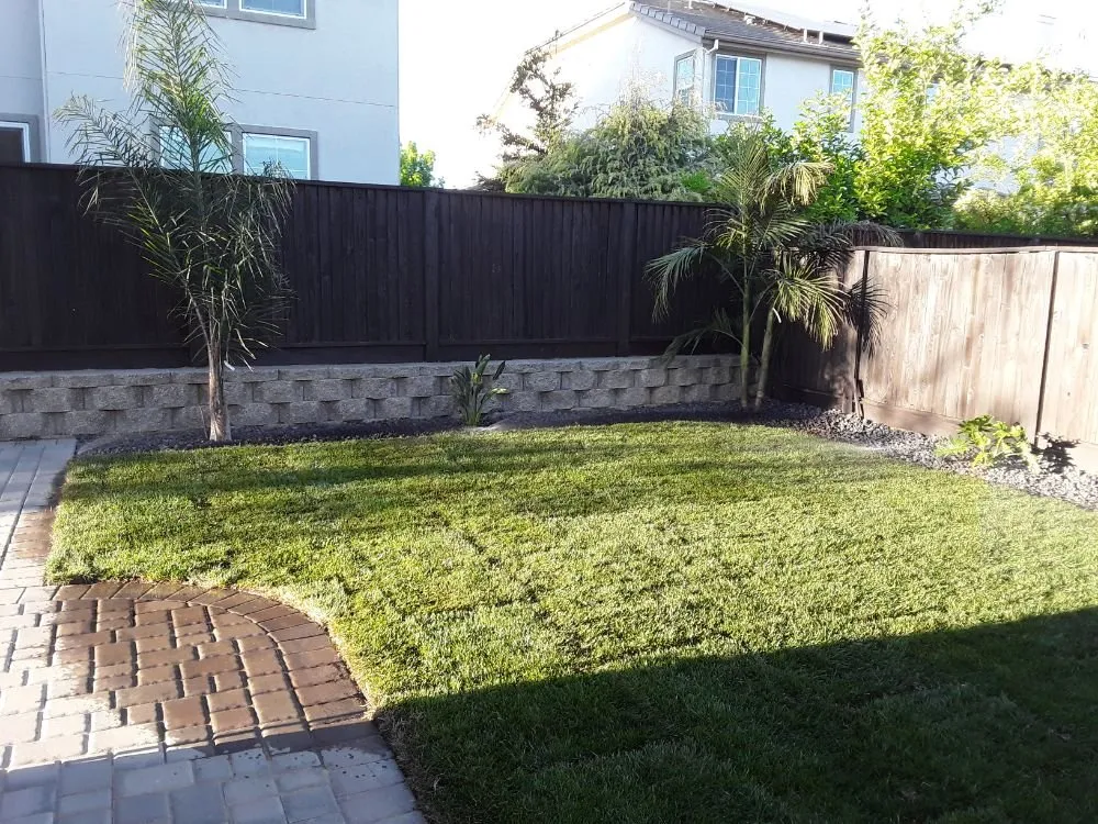 Custom outdoor landscaping for homes in Antioch, CA by Campos Landscaping and Tree Service