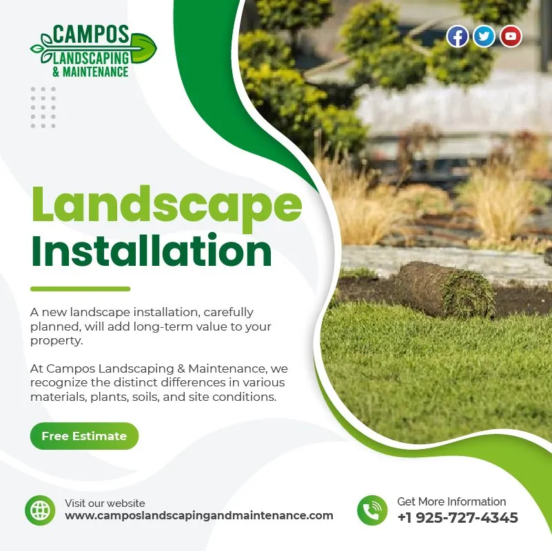 Affordable yard maintenance in Antioch, CA by Campos Landscaping and Tree Service