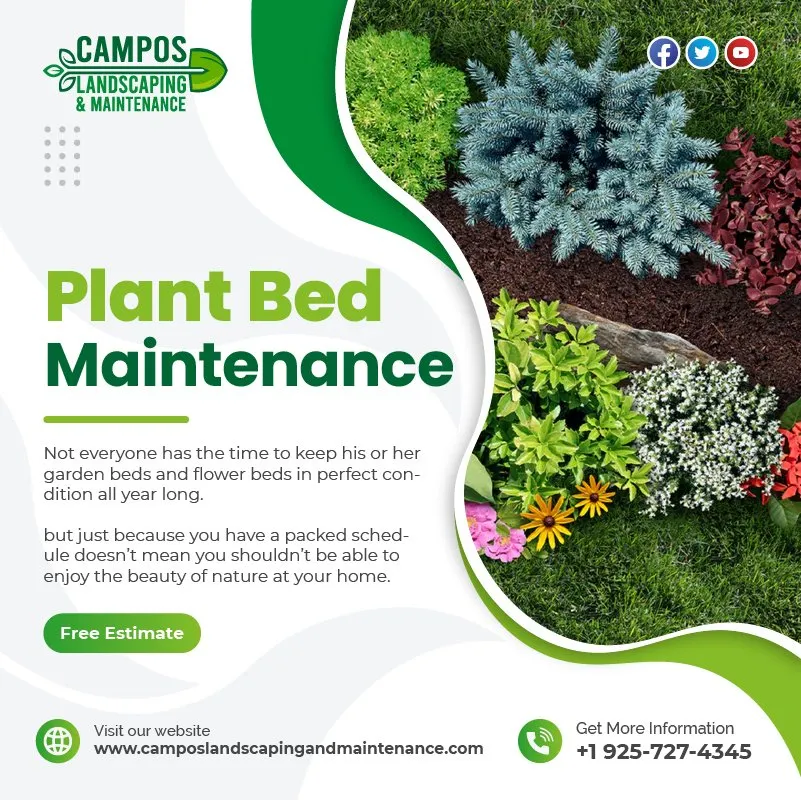 Custom residential landscaping for outdoor upgrades across Antioch, CA - Campos Landscaping and Tree Service