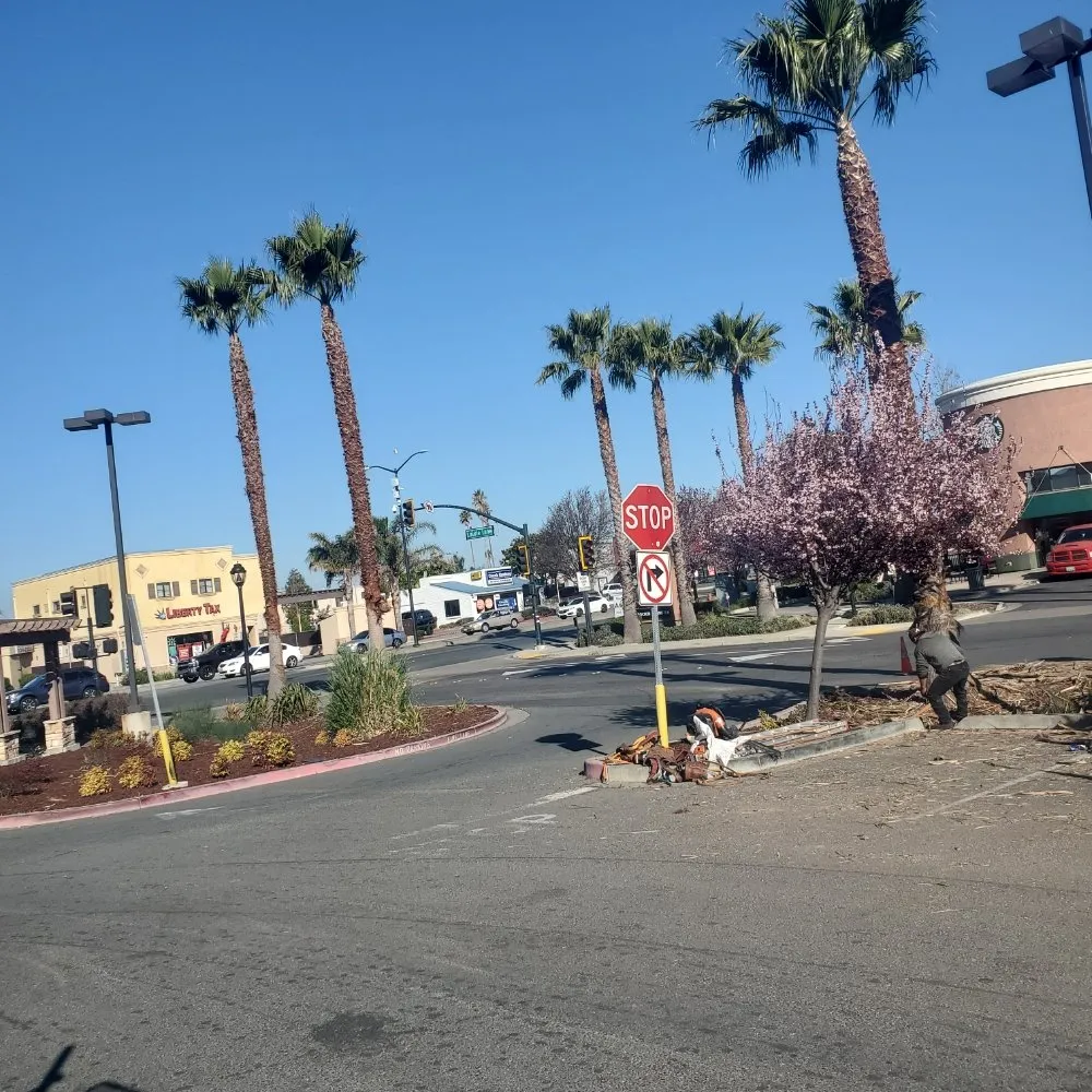 Custom garden landscaping near you in Antioch, CA by Campos Landscaping and Tree Service