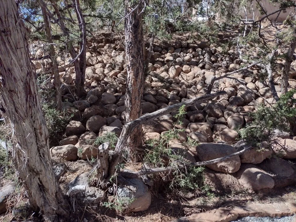 Expert lawn mowing service in Española, NM by Campos Landscaping