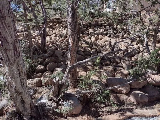 Campos Landscaping Logo