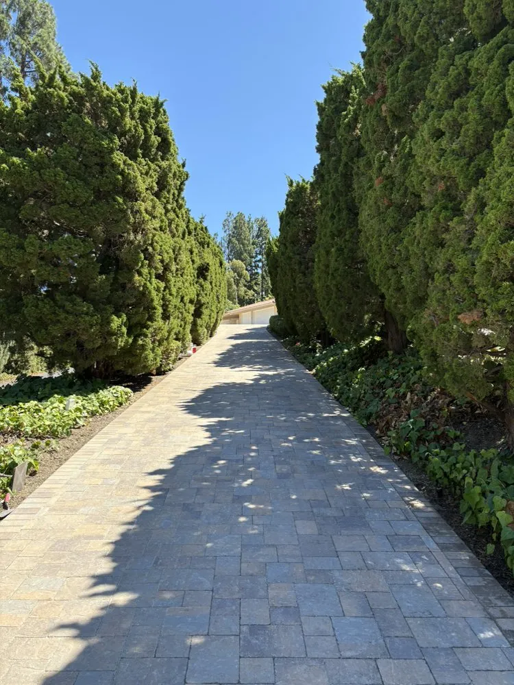 Top-rated landscaping services experts serving Long Beach, CA - Campos Landscaping