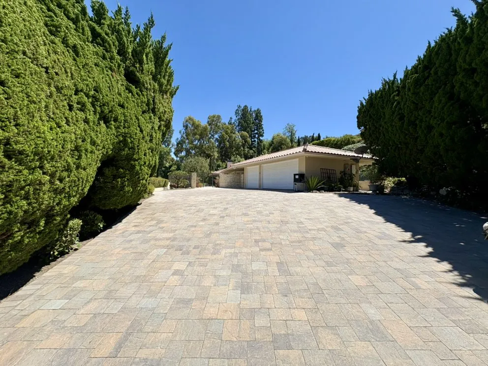 Trusted yard cleanup service in Long Beach, CA by Campos Landscaping