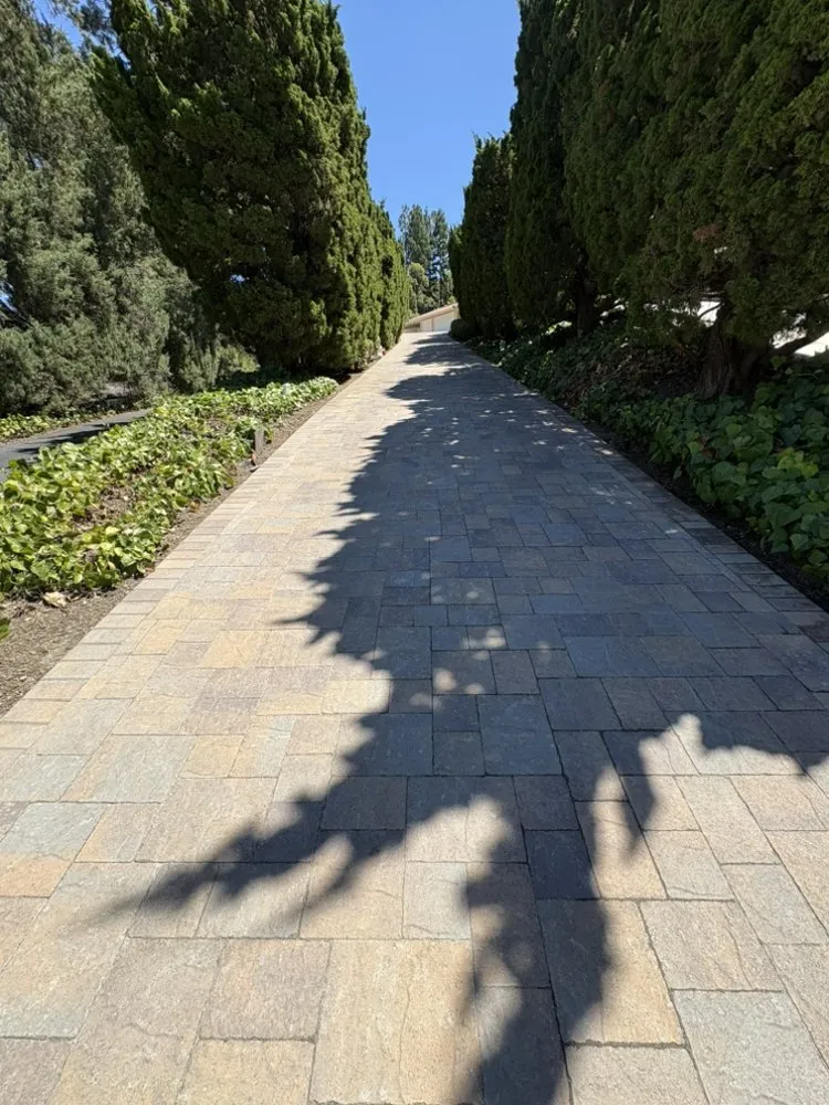 Professional yard cleanup service for beautiful yards across Long Beach, CA - Campos Landscaping