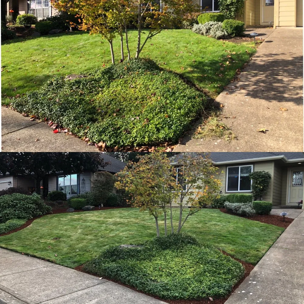 Professional yard cleanup service in Independence, OR - Campos Landscaping Maintenance