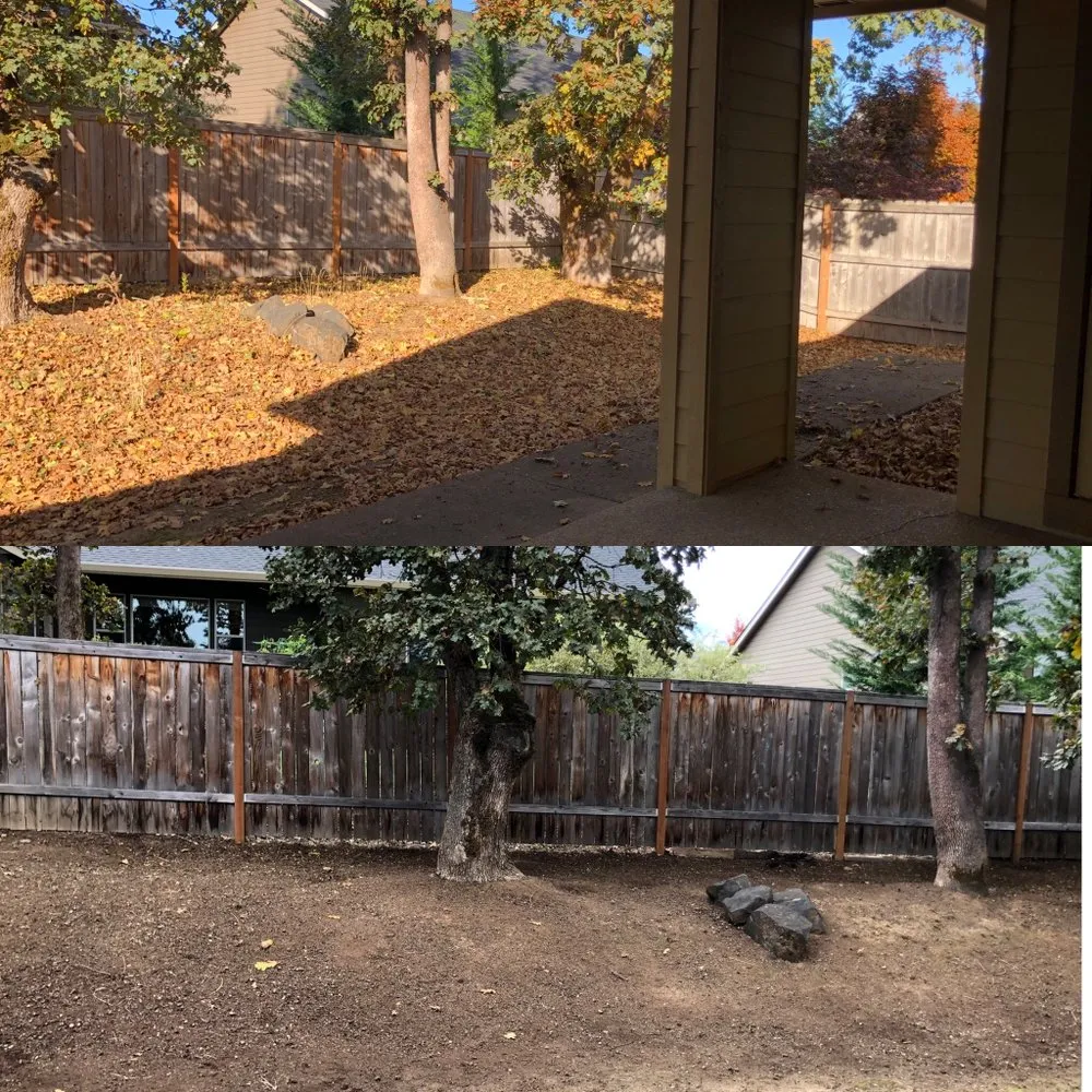 Trusted lawn care service in Independence, OR by Campos Landscaping Maintenance