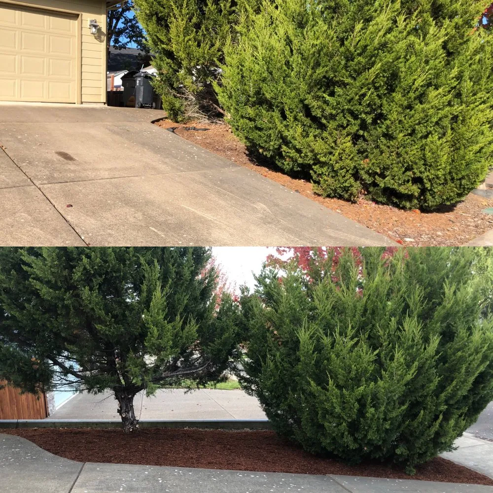 Expert residential landscaping in Independence, OR - Campos Landscaping Maintenance