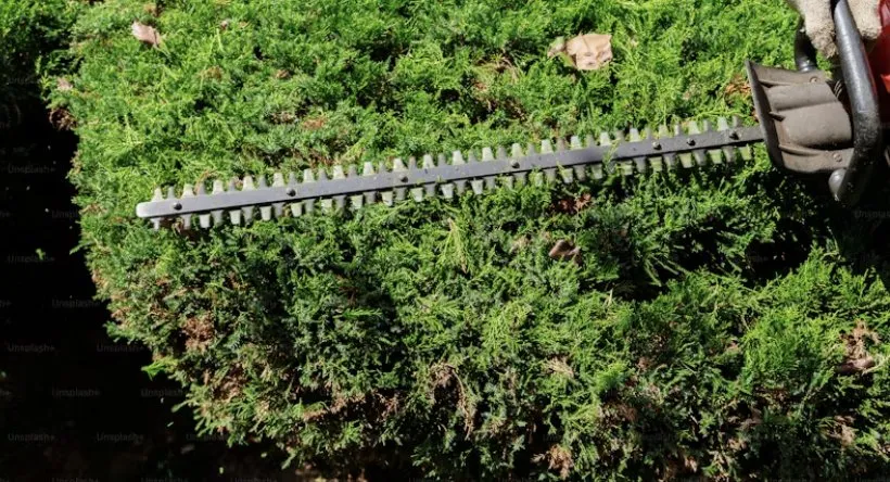 Local yard maintenance experts serving McKinney, TX - Campos Landscaping