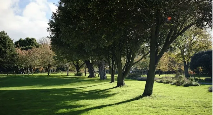 Reliable outdoor landscaping in McKinney, TX by Campos Landscaping