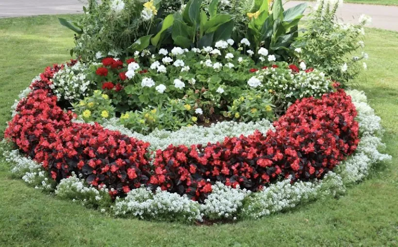 Trusted outdoor landscaping in McKinney, TX by Campos Landscaping