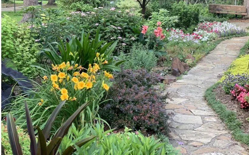 Professional lawn care service experts serving McKinney, TX - Campos Landscaping