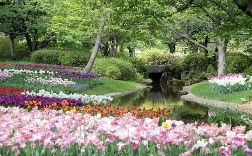 Local outdoor landscaping experts serving McKinney, TX - Campos Landscaping