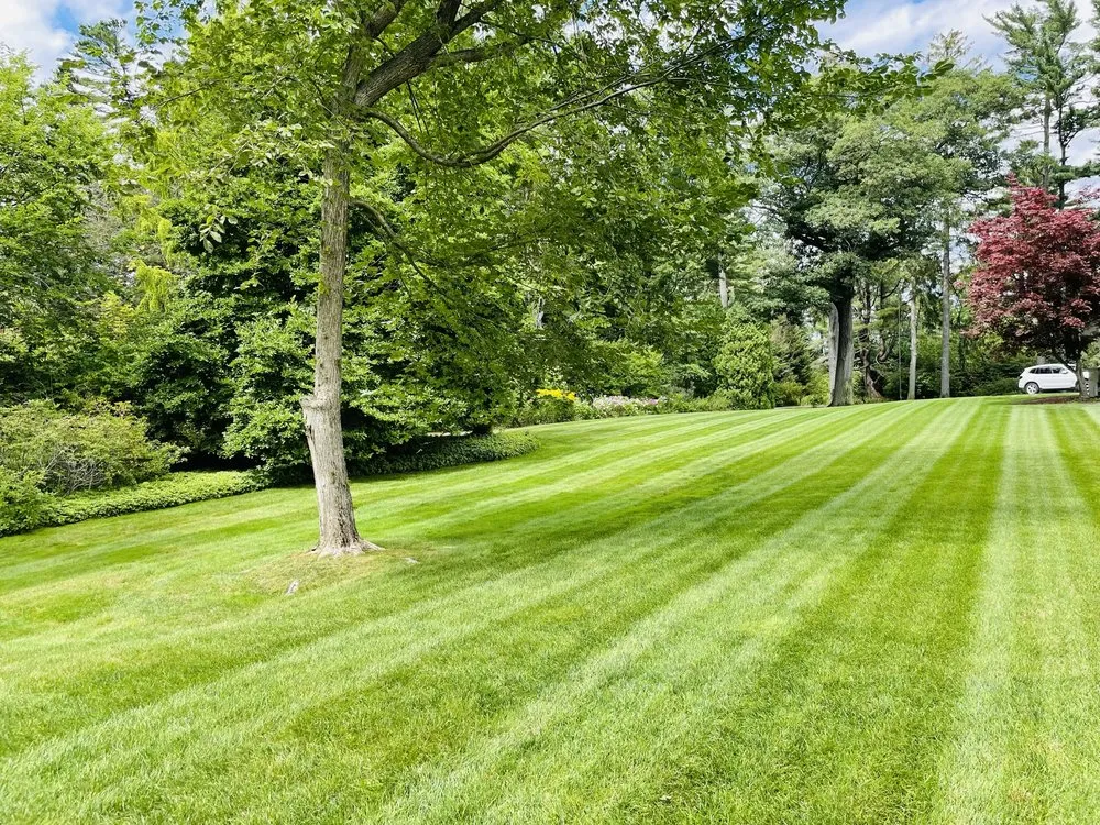 Reliable yard maintenance in South Portland, ME by Campos Landscaping