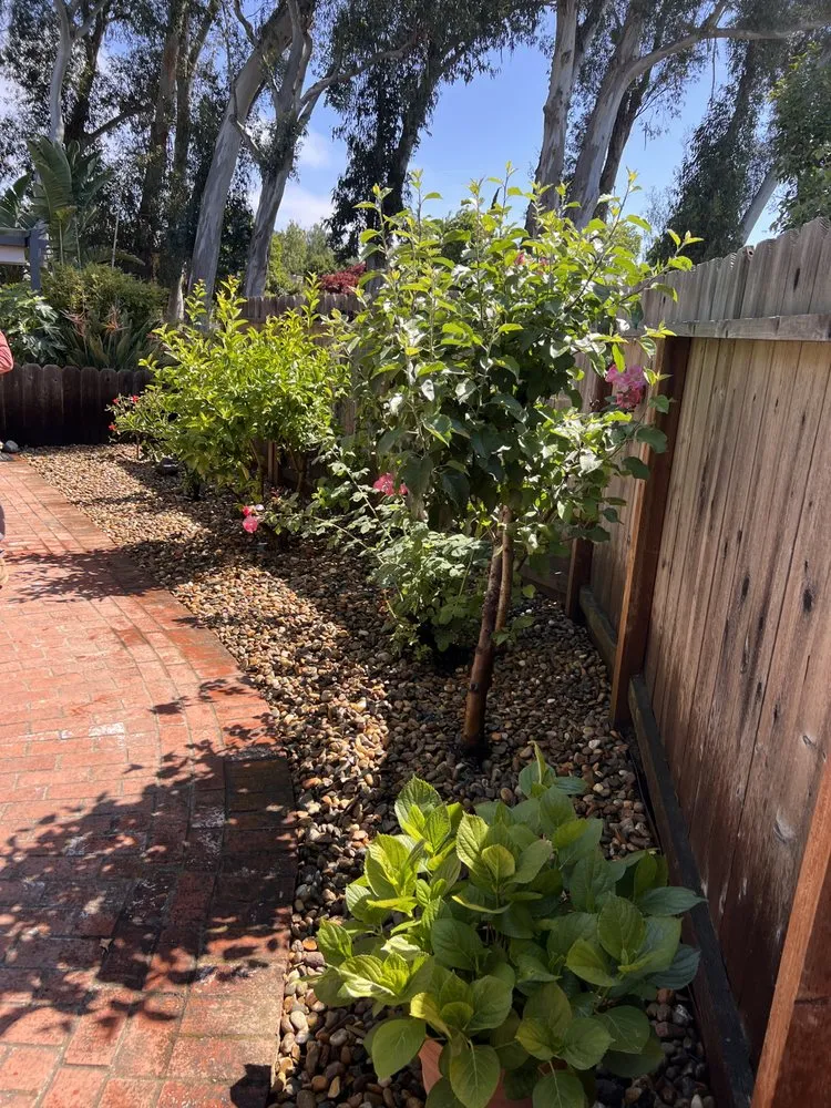 Reliable landscape design for beautiful yards in Suisun City, CA by Campos Landscaping