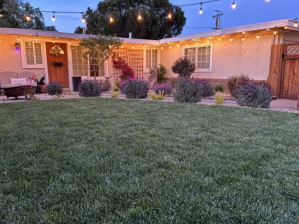Professional yard maintenance experts serving Suisun City, CA - Campos Landscaping