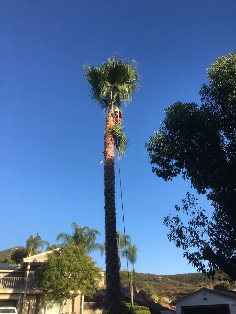 Local residential landscaping near you in Valley Center, CA by Campos landscaping