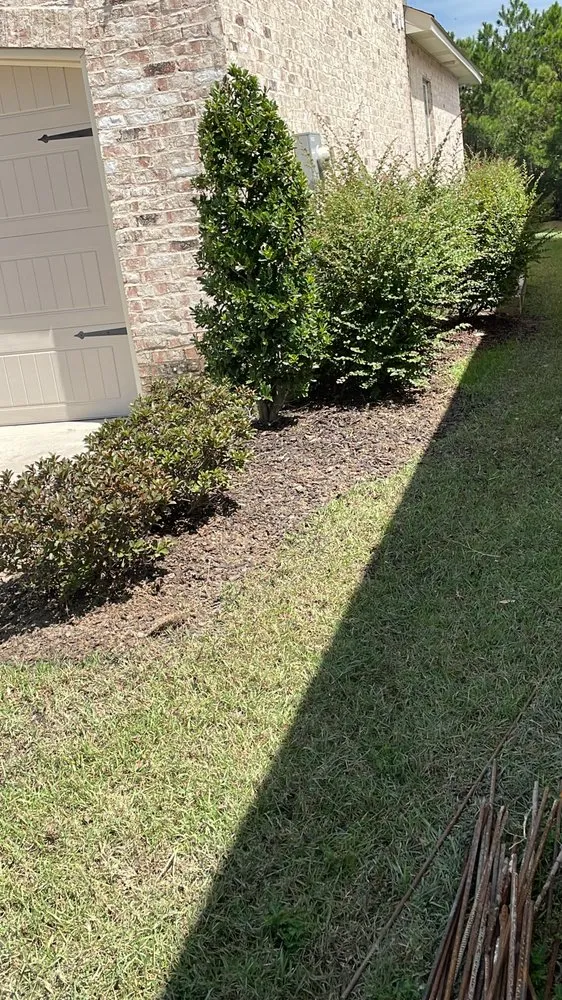 Top-rated yard cleanup service with custom design in Slidell, LA by Campos Laun Care