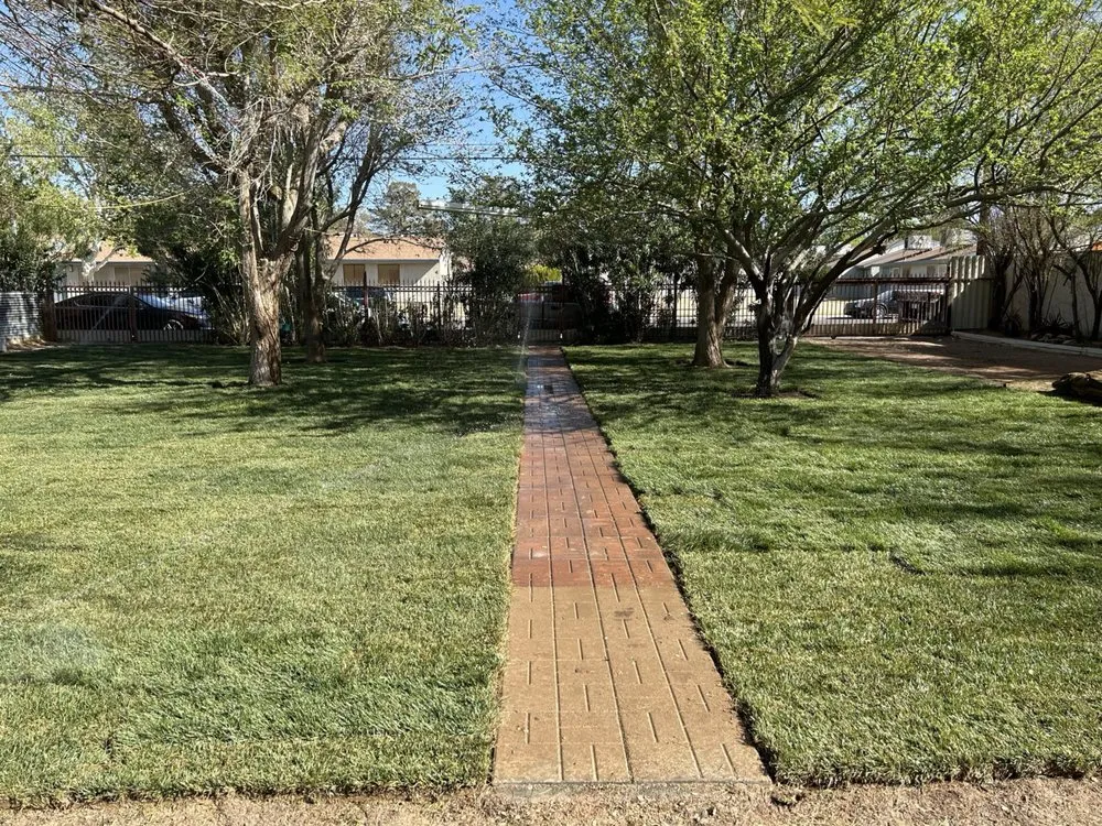 Local landscaping services in Las Vegas, NV by Campos Paradise