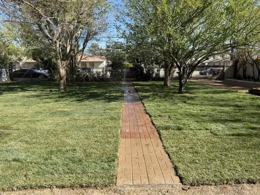 Campos Paradise Logo