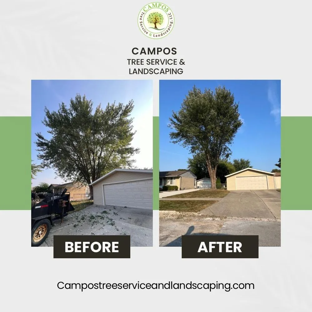 Professional yard cleanup service for outdoor upgrades across Shelby Township, MI - Campos Tree Service & Landscaping