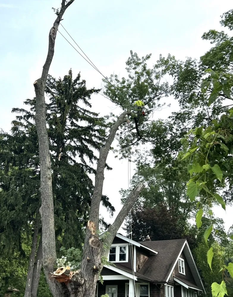 Local landscaping services experts serving Shelby Township, MI - Campos Tree Service & Landscaping