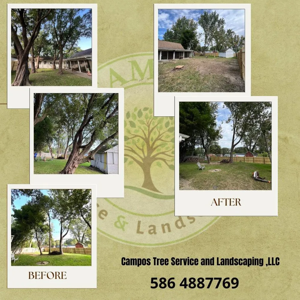 Reliable yard cleanup service for homes in Shelby Township, MI by Campos Tree Service & Landscaping