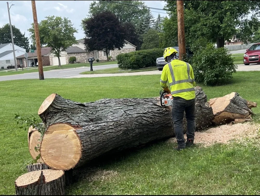 Top-rated yard maintenance experts serving Shelby Township, MI - Campos Tree Service & Landscaping