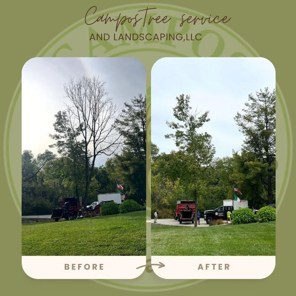 Top-rated lawn care service for year-round maintenance in Shelby Township, MI by Campos Tree Service & Landscaping
