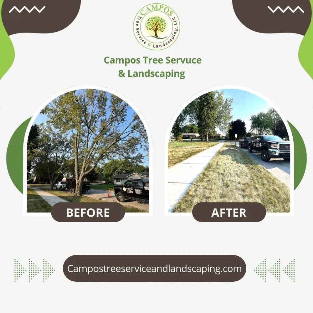 Custom landscape installation experts serving Shelby Township, MI - Campos Tree Service & Landscaping