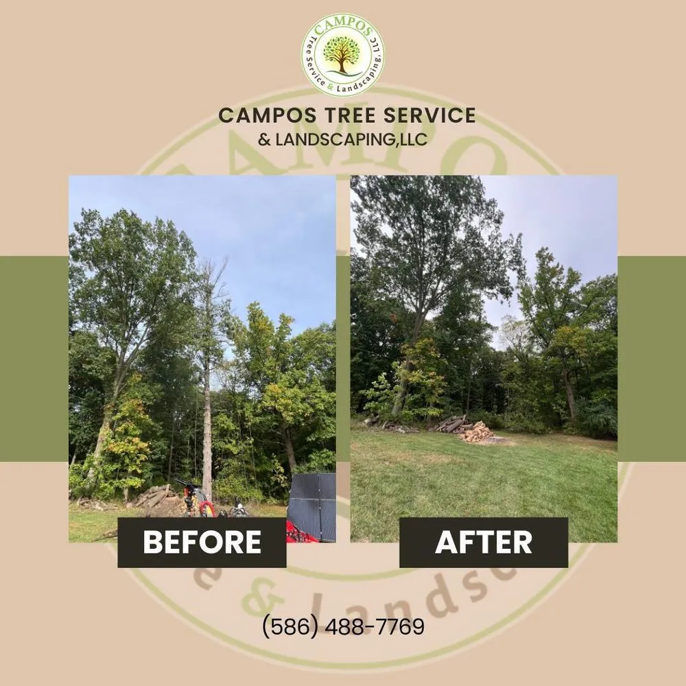 Custom residential landscaping in Shelby Township, MI by Campos Tree Service & Landscaping