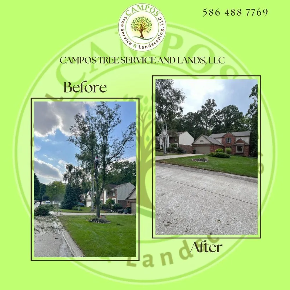 Professional outdoor landscaping in Shelby Township, MI by Campos Tree Service & Landscaping