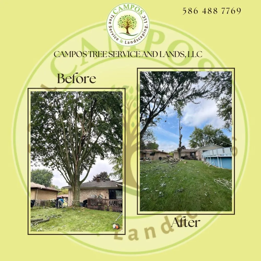 Affordable landscaping services for homes in Shelby Township, MI by Campos Tree Service & Landscaping